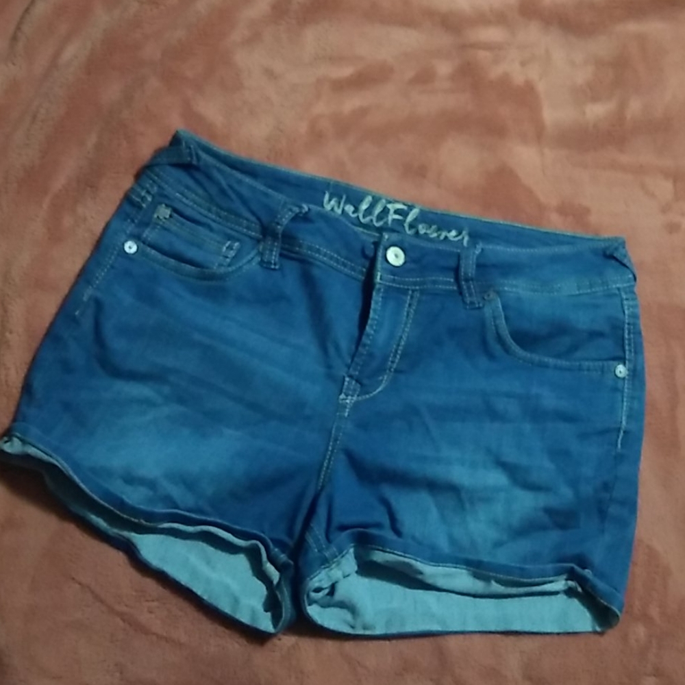 Wallflower Denim Shorts